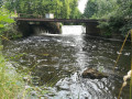 Au fil de La Charente de Saint-Pierre-d'Éxideuil à Civray