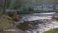 Le Moulin Mohot