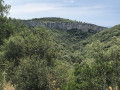 Le Mourel Nègre
