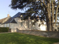 Le Musée et le Cédre du Liban