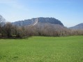 Le Néron