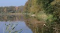 Le neuf Etang