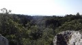 Le panorama