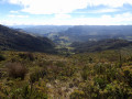 Le Paramo de Chingaza