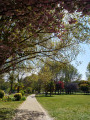 Sous les Terrasses de Saint-Germain-en-Laye Sous les Terrasses de Saint-Germain-en-Laye
