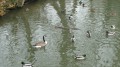 Le Parc Jean-Jacques Rousseau