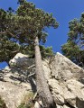 Chamechaude insolite par L'Arche, le Jardin, la Brêche Arnaud et le Canyon