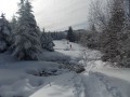 Le passage des narces