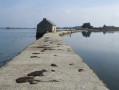 Le passage du moulin à marée de l'île-d'Arz à marée haute. Le passage du moulin à marée de l'île-d'Arz à marée haute.