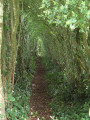 Le passage "secret"