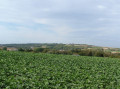 Le paysage depuis le chemin, sous le "Cabaret Rouge"