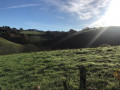 Le paysage vallonné