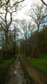 Le petit chemin