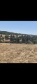Le petit lac