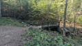 Petit pont de bois
