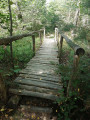Le petit pont de bois... "qui ne tenait plus guerre que par un grand mystère et 2 piquets tout droit".... J'exagère un peu quand même.
