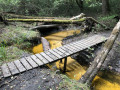 Le petit pont de bois