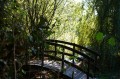 Le petit pont de bois