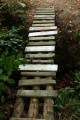 Le petit pont de bois