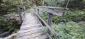 Le petit pont en bois