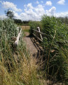 Le petit pont