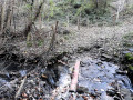 Le petit ruisseau du Vernery avant la dernière montée