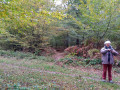 Le petit sentier pas visible Le petit sentier pas visible