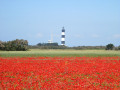 Tour de la Pointe de Chassiron sur l'Île d'Oléron