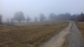 Le plateau dans la brume