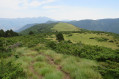 Le plateau de Sirmont