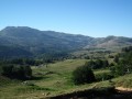 Le plateau du Cuscionu