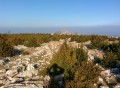 le plateau le plateau