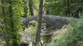 Le pont Génois d'Alisu (Aliso) Le pont Génois d'Alisu (Aliso)