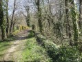 Le pont sur l'Ozon Le pont sur l'Ozon