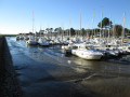 Le port de Fontainevieille