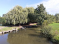 Le marais entre La Garette et le Vanneau