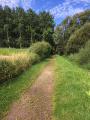 le premier chemin