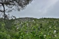 Sainte-Victoire - das Kreuz der Provence (Croix de Provence)