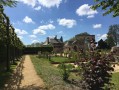 Allons voir si la rose Allons voir si la rose