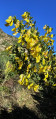 Le printemps en approche