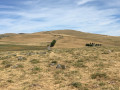 Le puy de Bâne
