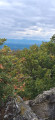Laprugne - Saint-Victor-Montvianeix