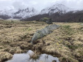 Le Puy de Sancy