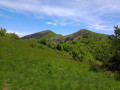 Le Quigouret