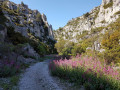 Le ravin de gorgue longue