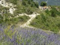 Le retour au village