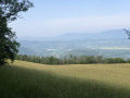 Le Rhône en Chautagne