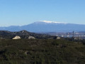 Le Rhône et le Ventoux en paysage de fond