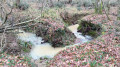 Le Rieu Tord