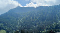 Le RIgi